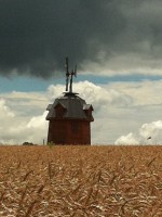 IMG_0409
