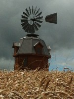 IMG_0410